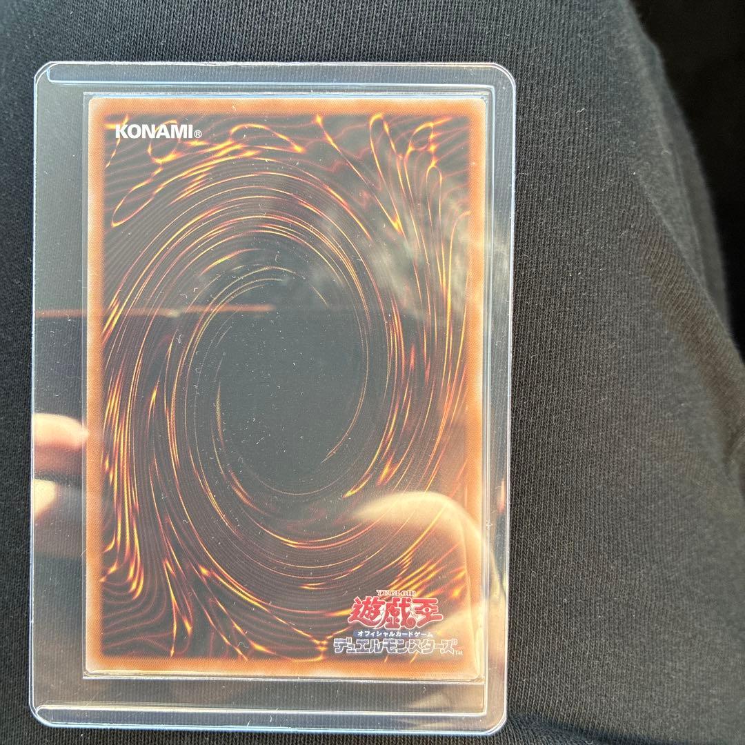 スカーレッド・ノヴァ・ドラゴン プリシク - メルカリ