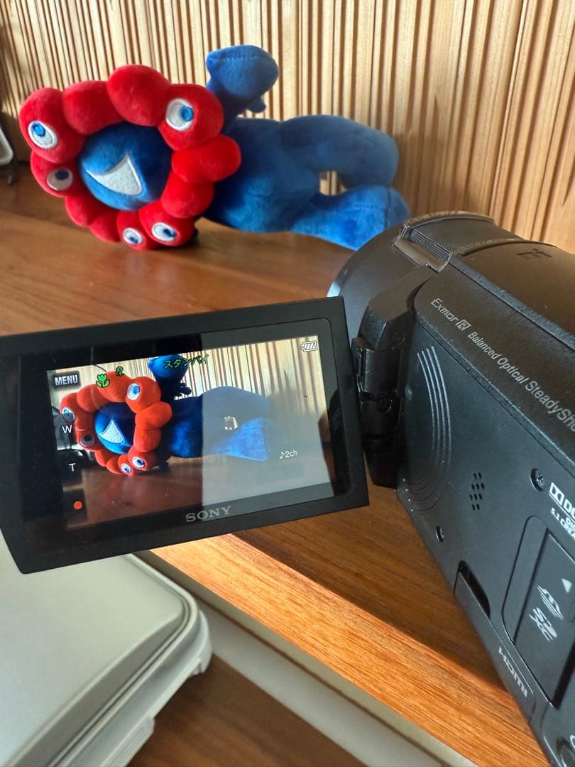 SONY FDR-AX45 4K ビデオカメラ ハンディカム 2018年製