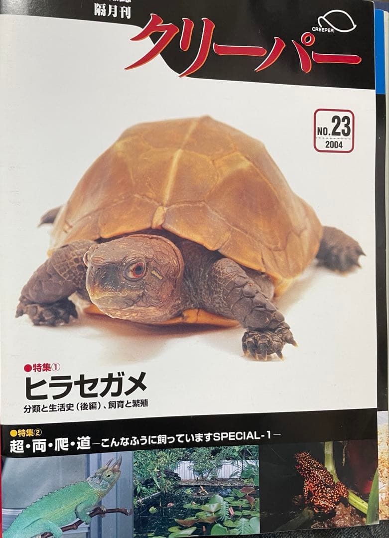 Creeper クリーパー No.19~24 6冊ファイルセット