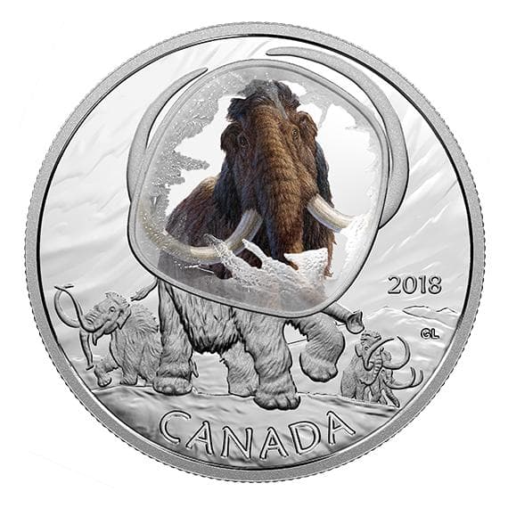 Todd Francis トッドフランシス 直筆サイン入りポスター 個展用作品