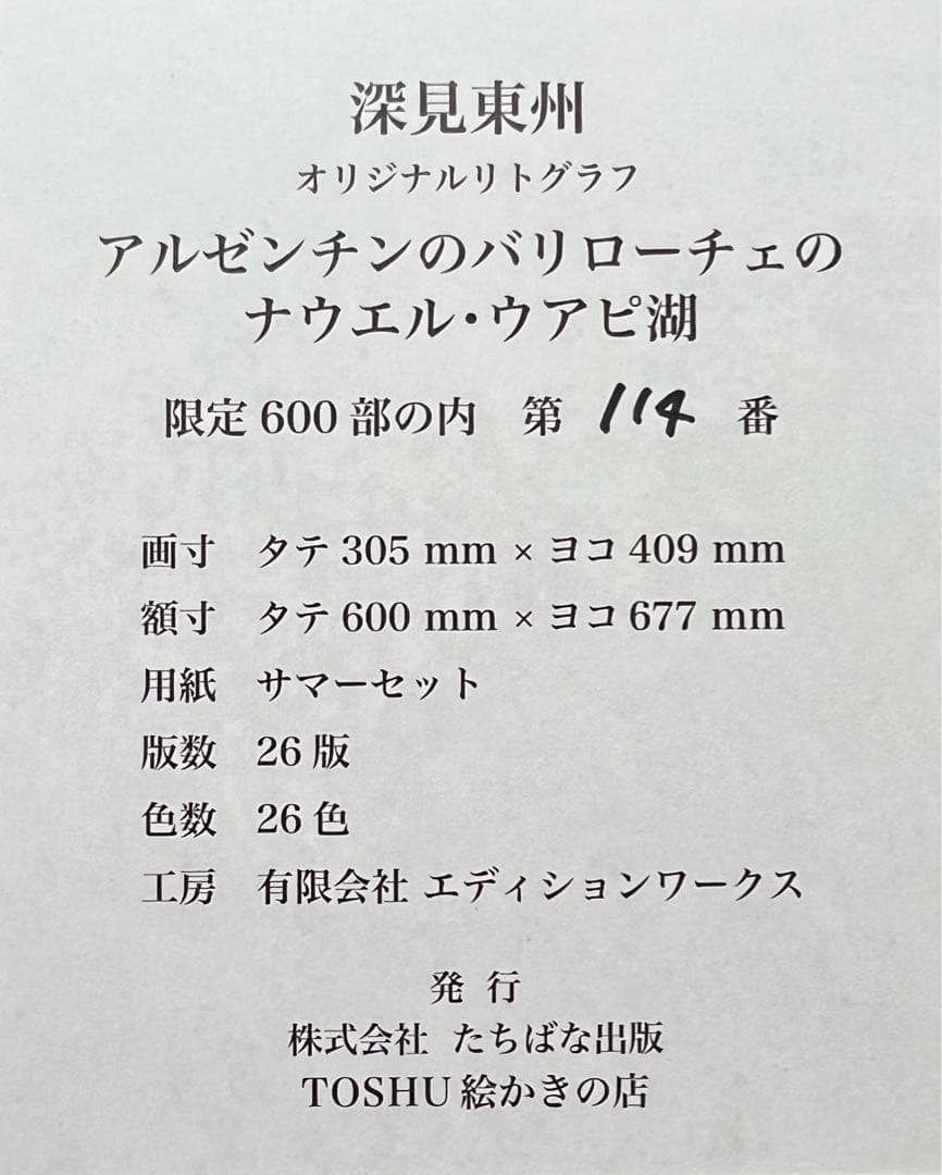 新品　アルゼンチンのバリローチェのウナエル・ウアピ湖