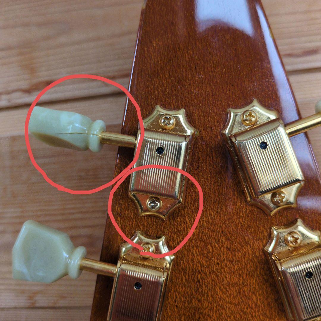 Bacchus　バッカス　bfvシリーズ　フライングV