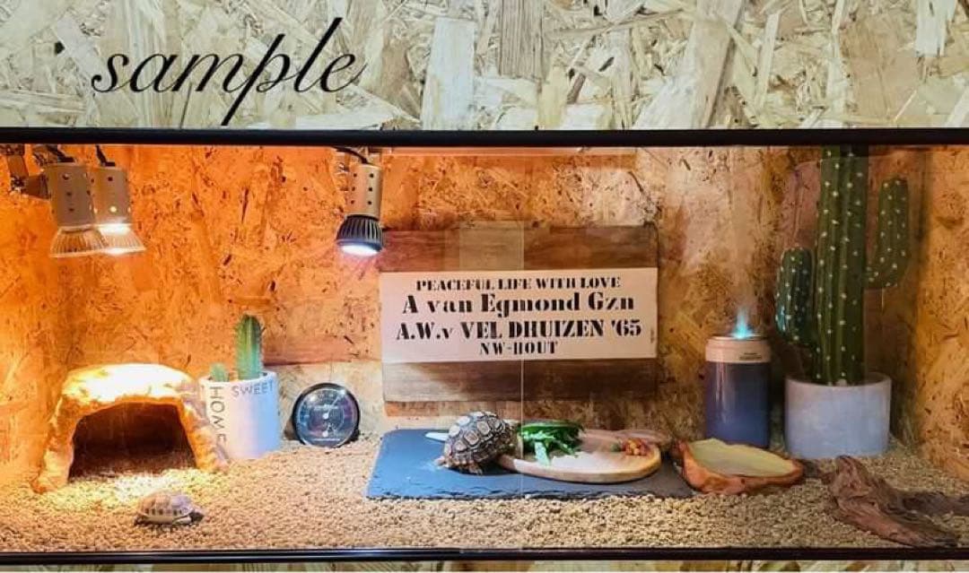 爬虫類ケージ 木製ケージ フトアゴ ハリネズミ プロフ必読 フルオプ