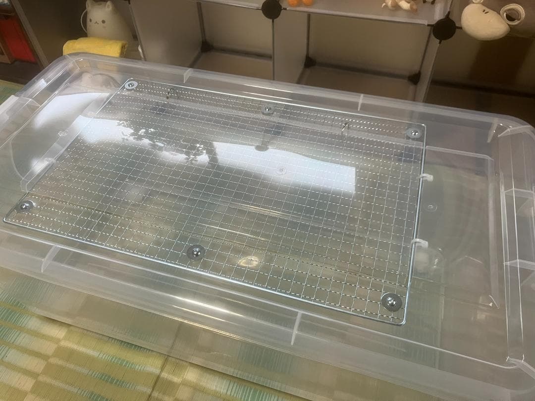 よしちゃん様専用3個セット ⑦広い大きいカブトムシ用飼育ケース【DIY】