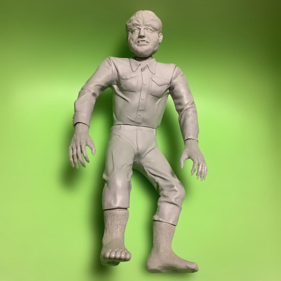 石楠花 大津英敏 リトグラフ