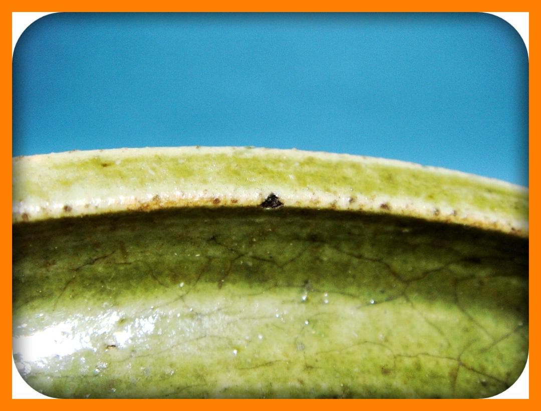 728『織部 菊紋 皿』 /骨董品 古美術 アンティーク 古玩