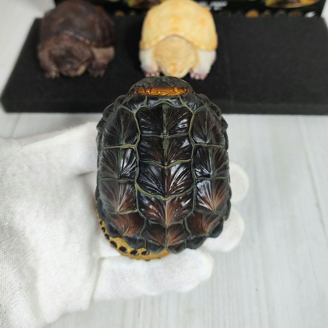 動物の惑星】☆激レア☆第1弾亀廃盤品ワニガメ+カミツキガメ