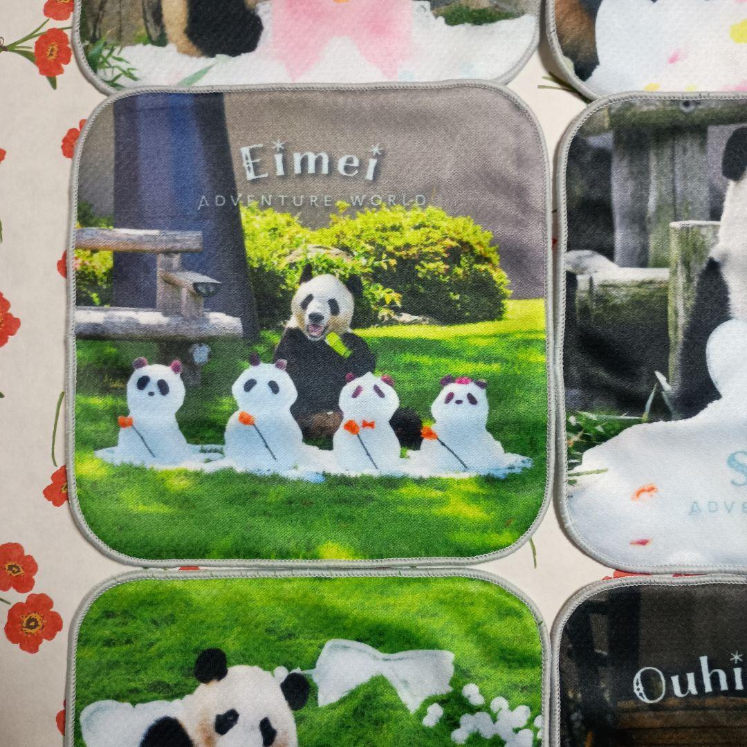 アドベンチャーワールド　先行ガチャ　パンダ ミニタオル 　6枚コンプリート