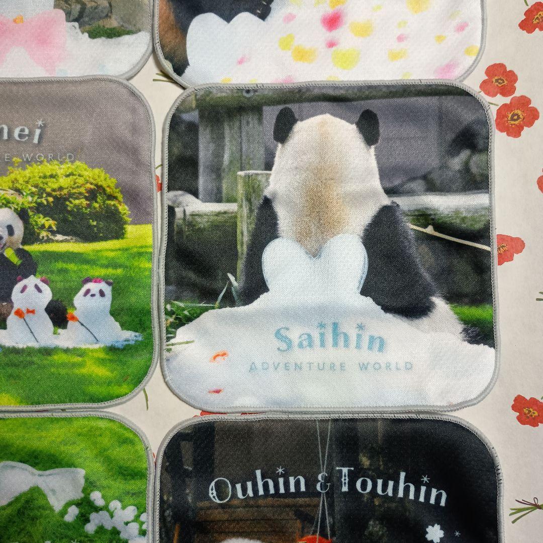 アドベンチャーワールド　先行ガチャ　パンダ ミニタオル 　6枚コンプリート