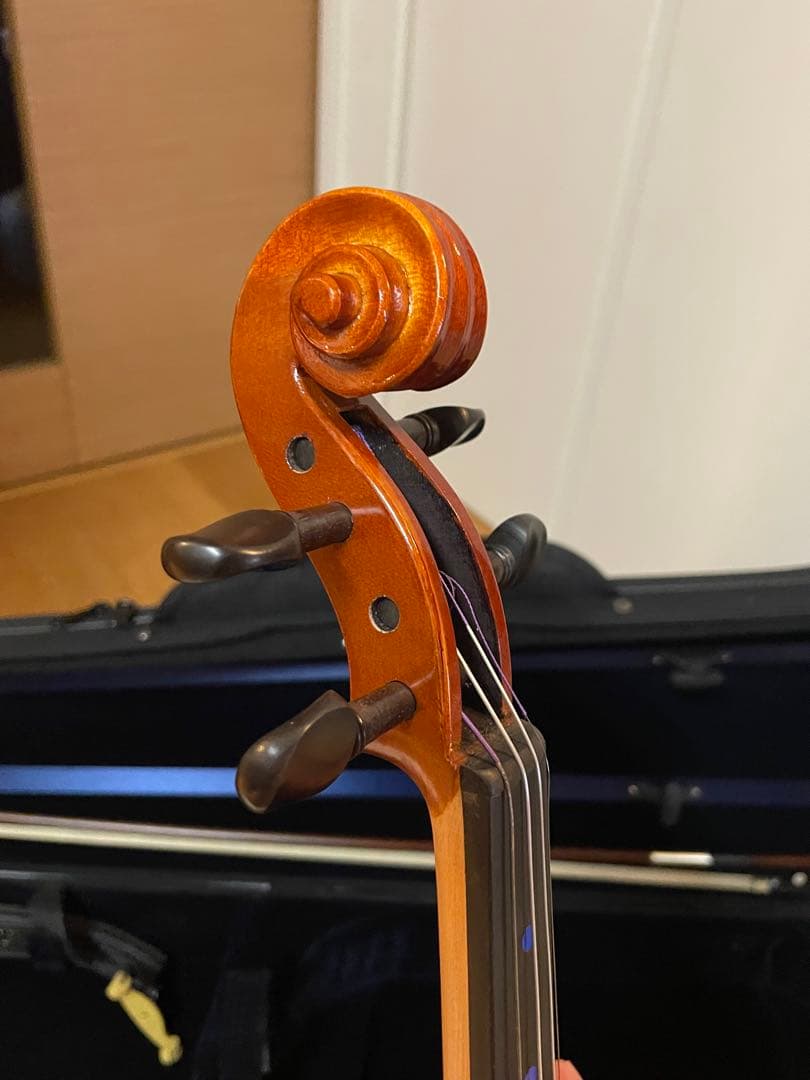 Eastman SVL80セット 4/4 バイオリン