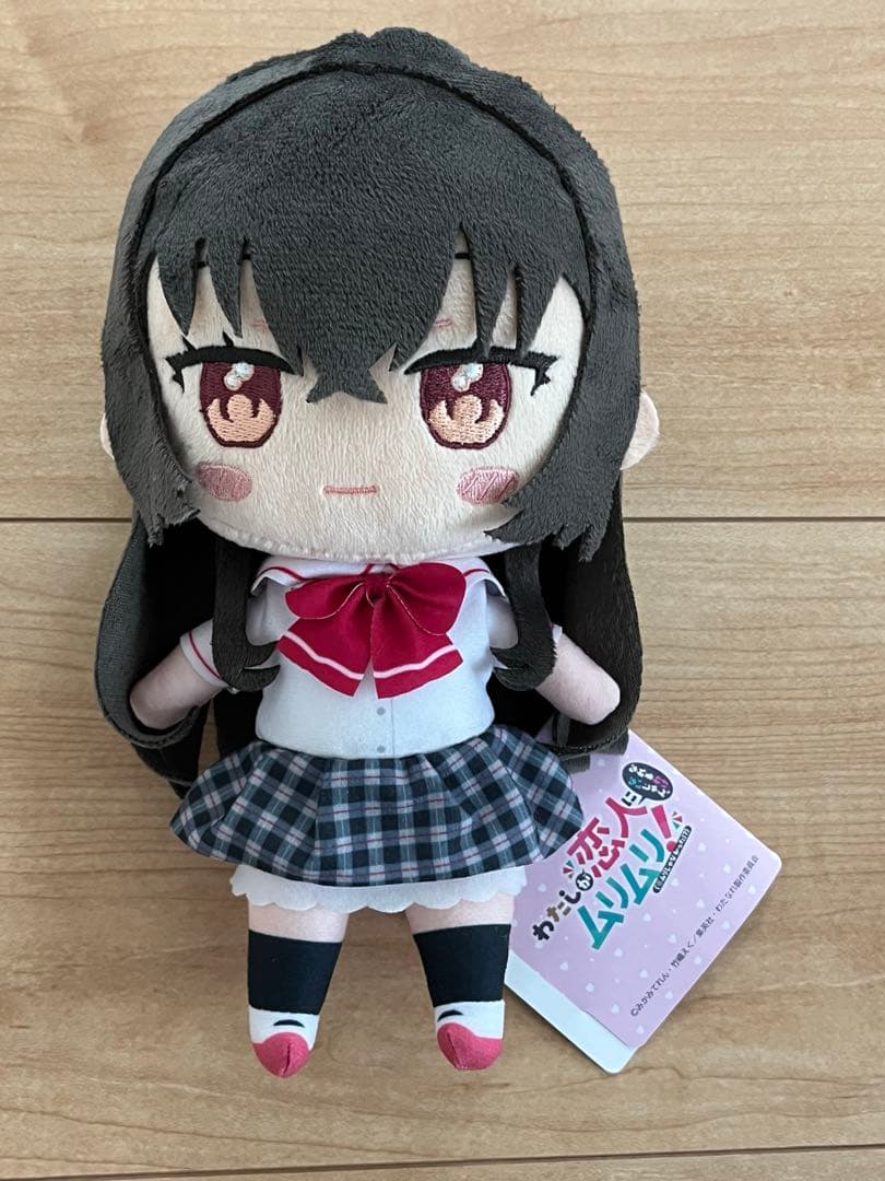 わたしが恋人になれるわけないじゃん、ムリムリ みでぃあんぬいぐるみ 琴紗