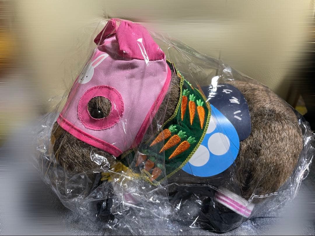 新品 ハルウララ ぬいぐるみ Sサイズ AVANTI