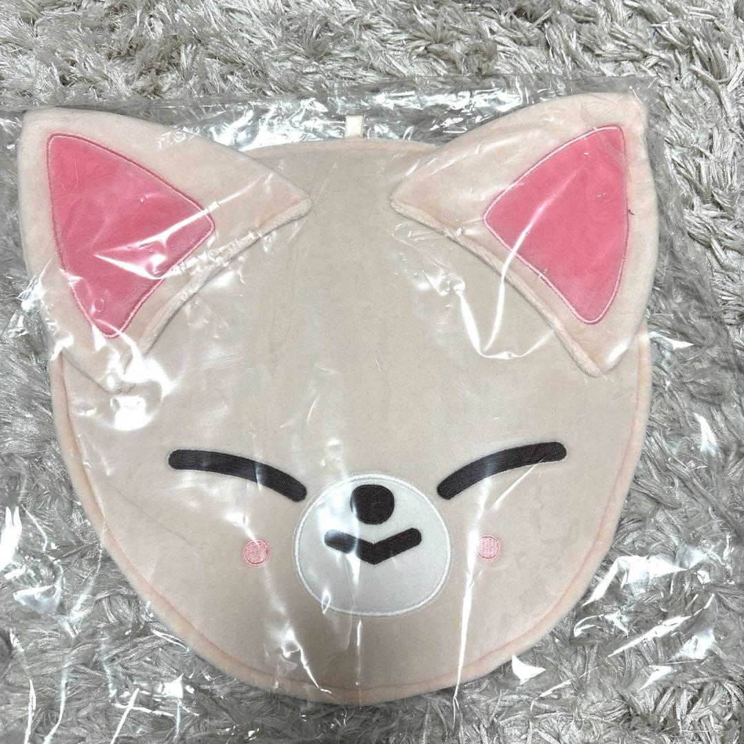 STRAYKIDS スキズ ストレイキッズ アイエン ジョンイン グッズセット