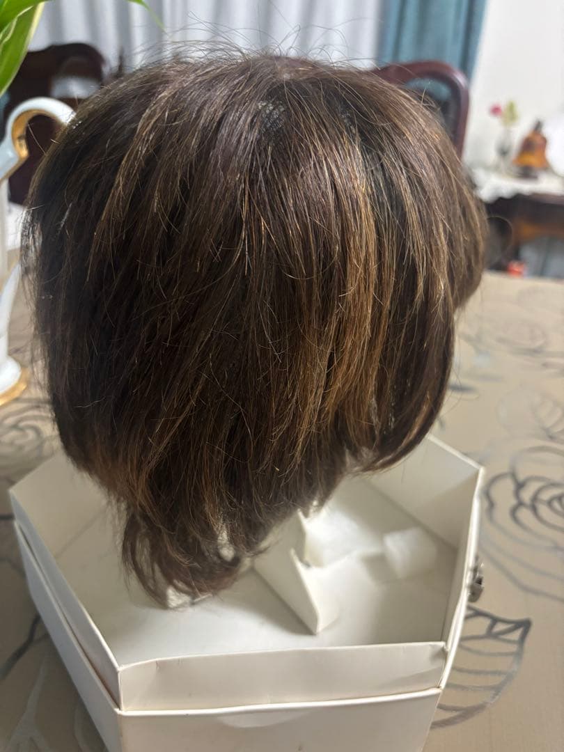 フォンテーヌ　フルウィッグ（説明書付き）