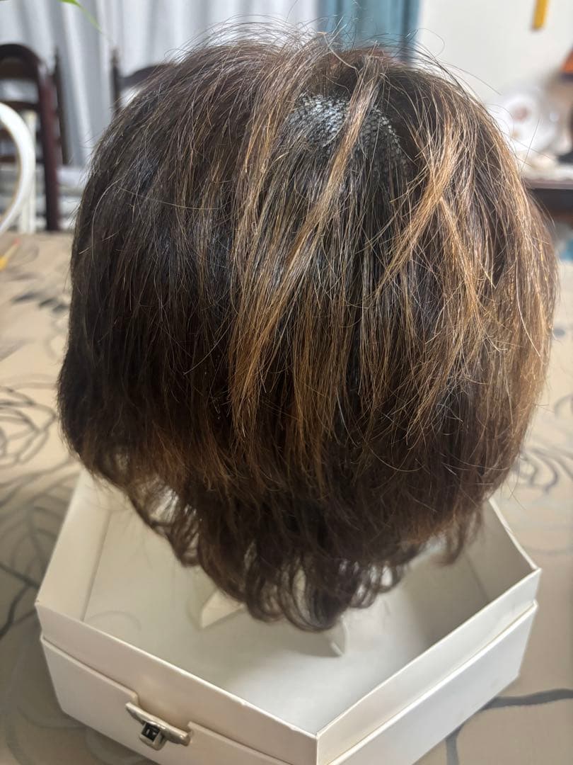 フォンテーヌ　フルウィッグ（説明書付き）