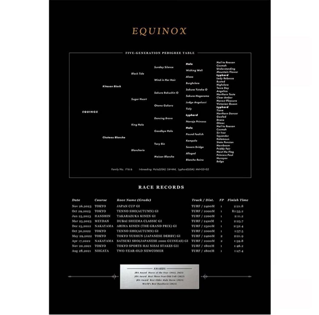 200個限定 イクイノックス 引退記念写真デザインパネル シリアル