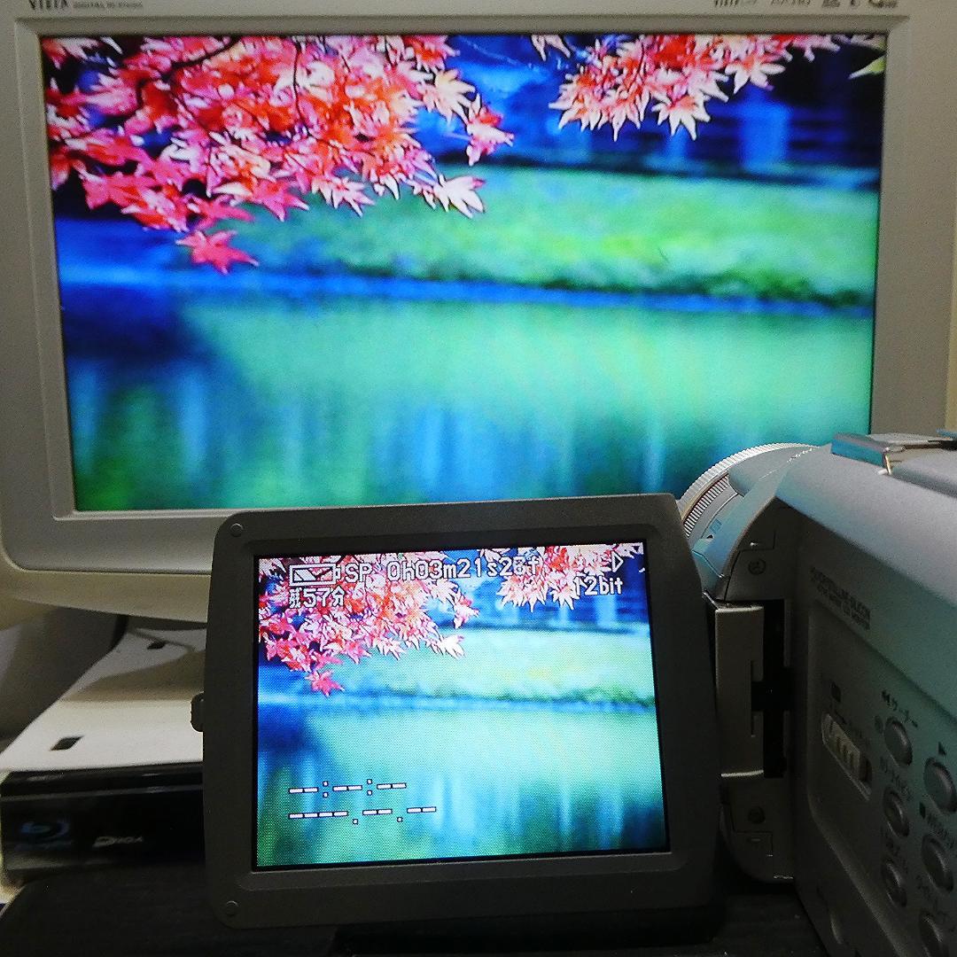 動作良好 パナソニックNV-MX5000 MiniDVビデオ DVD化に最適 !