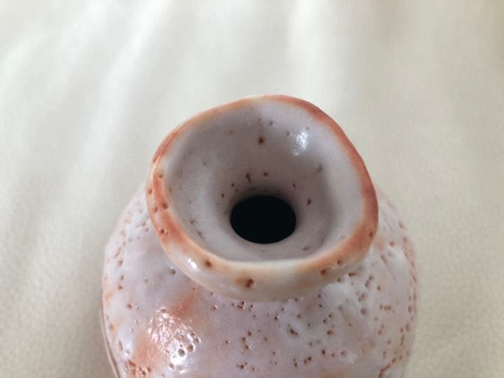 表情豊か！！林正太郎　絵志野徳利