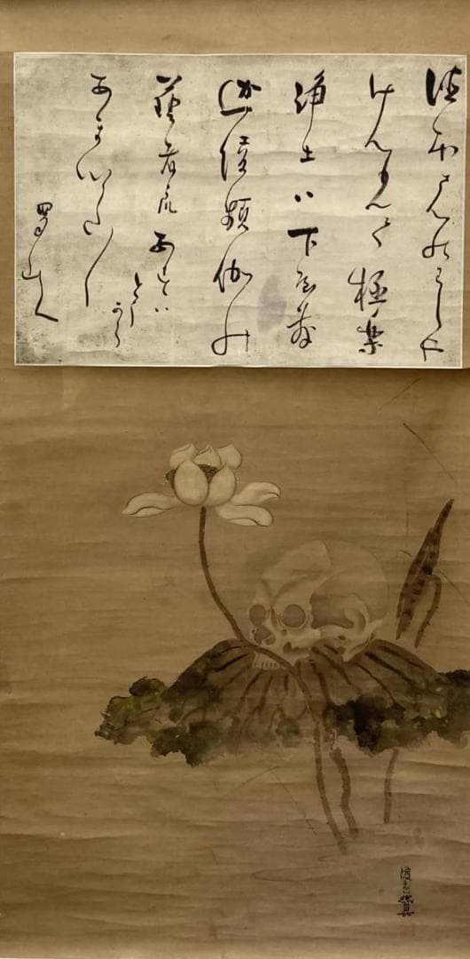 ドクロ図】渡辺始興／【書】蜀山人 (貼り合わせ)／紙本掛軸【髑髏／骸骨】