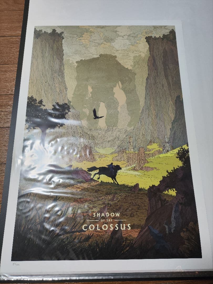 ワンダと巨像 ポスター Cook ＆ Becker