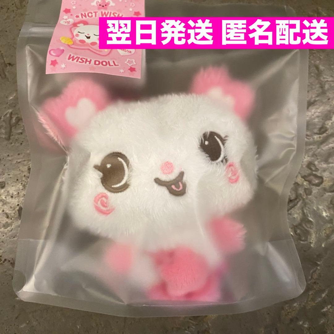 NCT WISH WISH DOLL ぬいぐるみ steady サクヤ パン - メルカリ