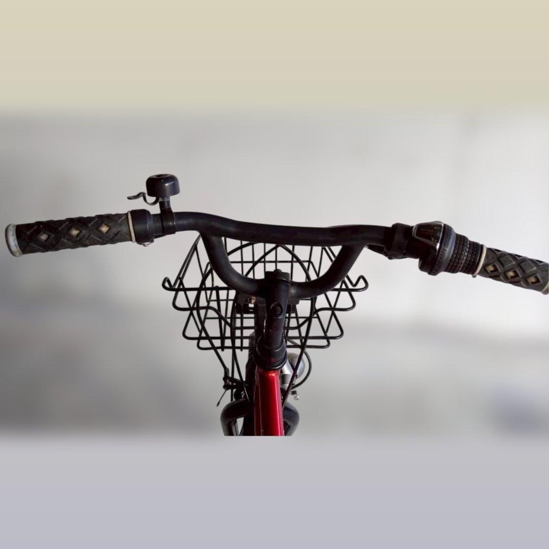 【配送可】20インチ ドライドBEAT 6段変速