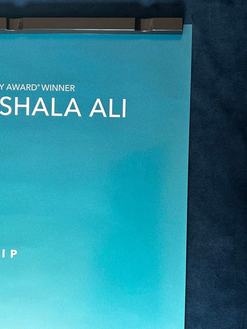 グリーン・ブック USオリジナル映画ポスター