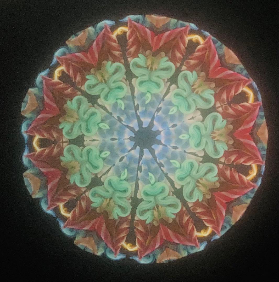 万華鏡 ルーク&サリー・デュレット夫妻 Bali Hai Botanicals