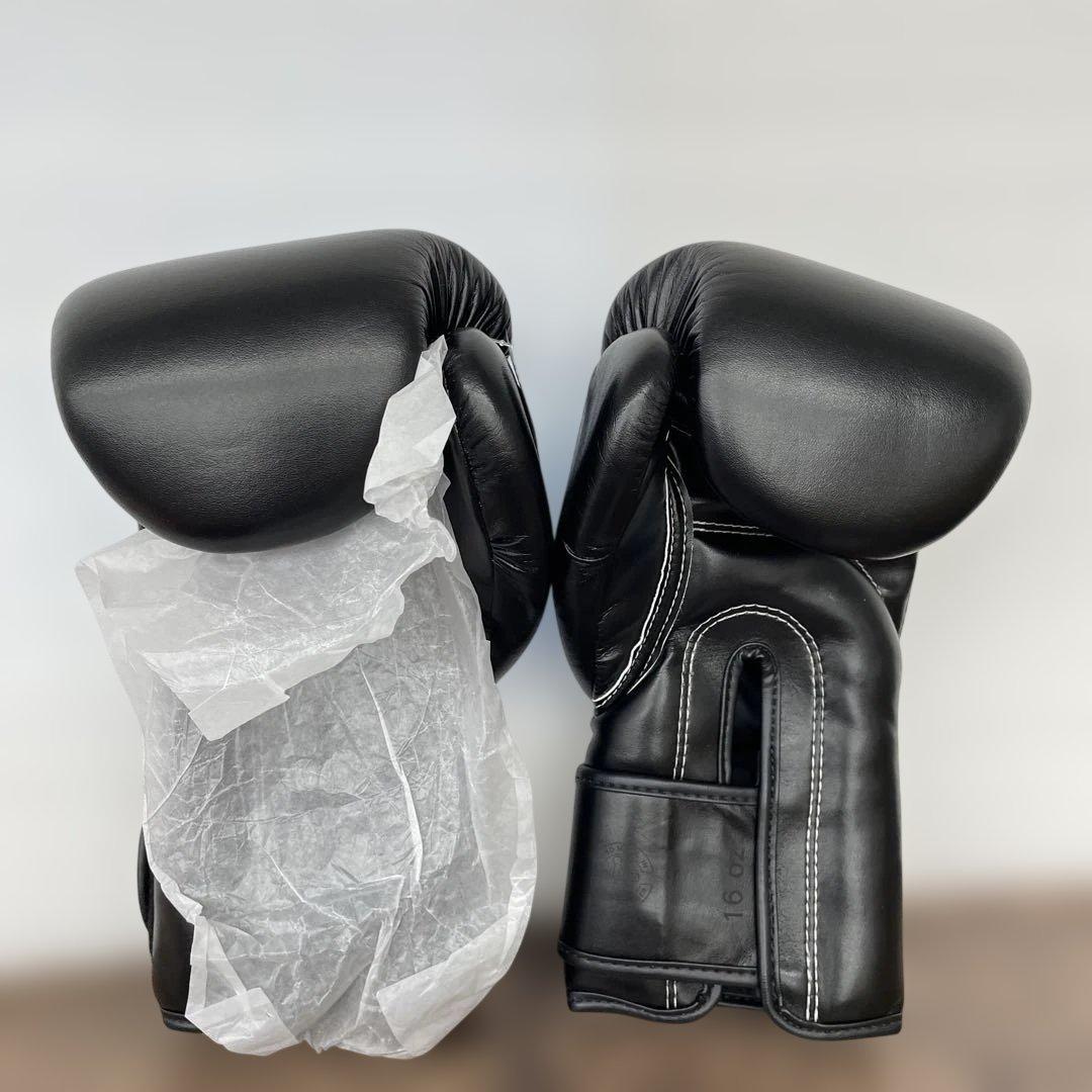 Fairtex ムエタイ ボクシンググローブBGV1 - タイプライド(限定版