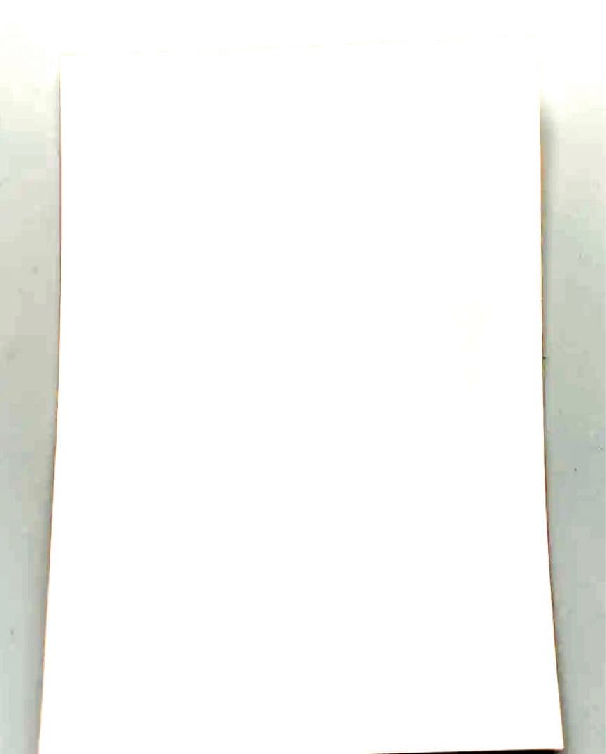 石狩あかりブロマイド