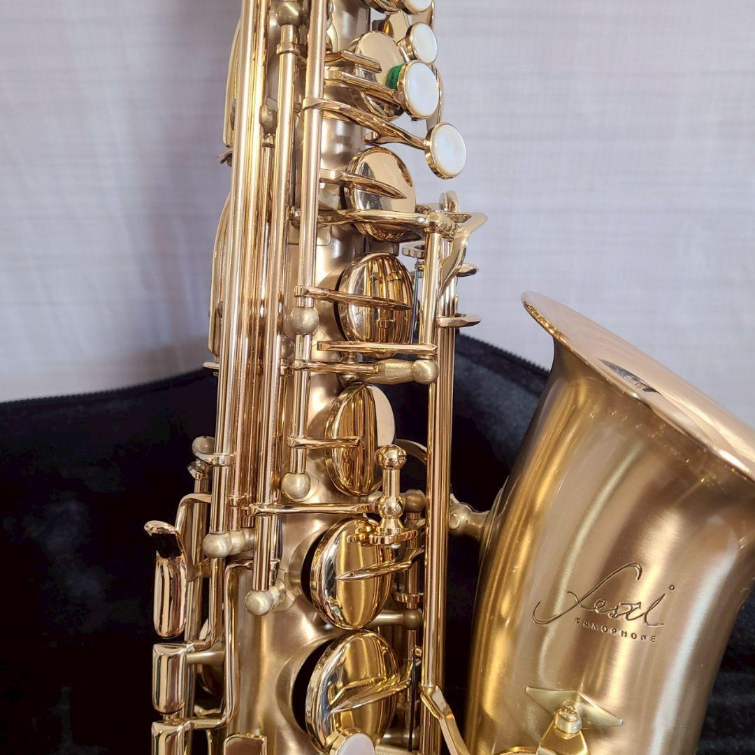 Festi アルトサックス 彫刻入り 管楽器 サックスフォン ケース付 ゴールド