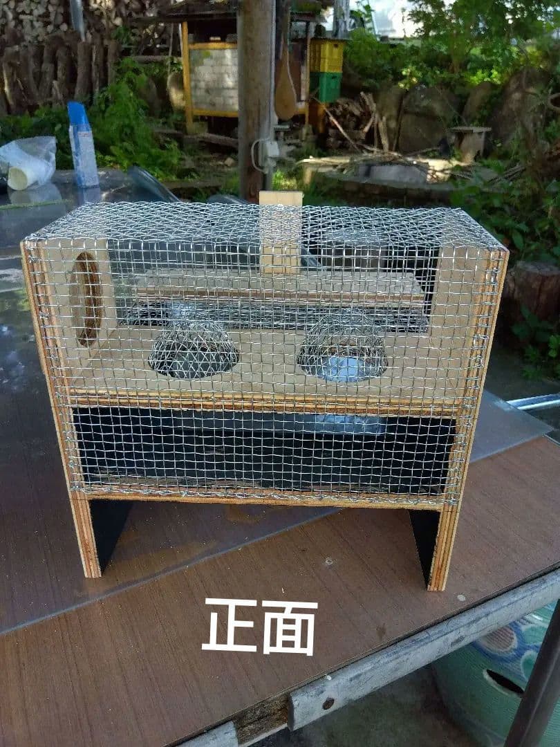 スズメバチ捕獲器 2個売り 別名 スズメバチ生捕器
