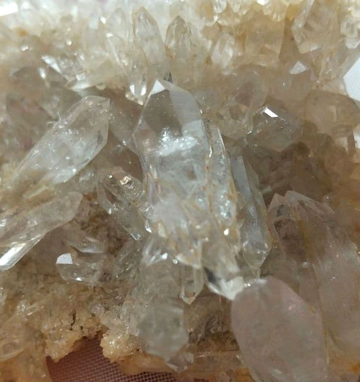 アバンダンスの輝き❇️マニカラン産ゴールデンヒーラー