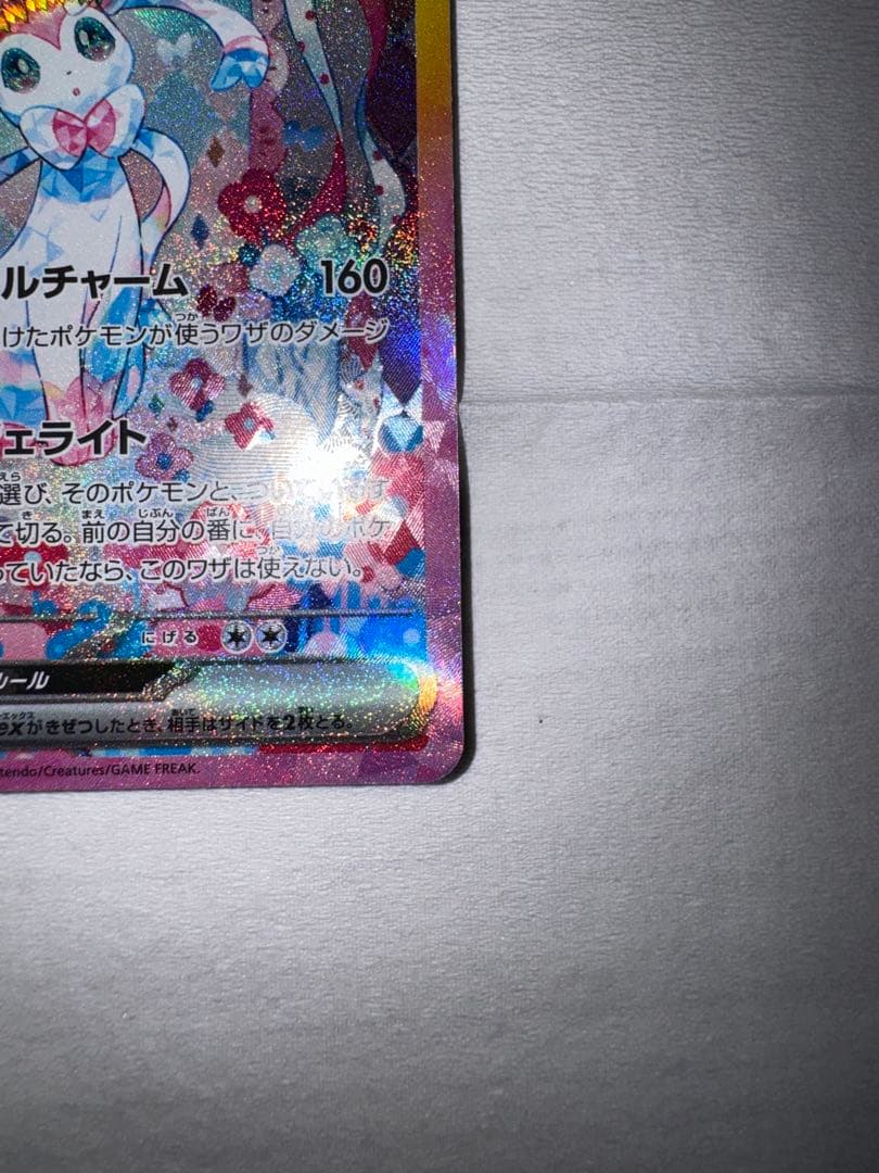 テラスタルフェス　3枚セット　ブラッキー