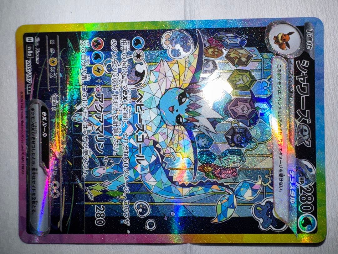 テラスタルフェス　3枚セット　ブラッキー