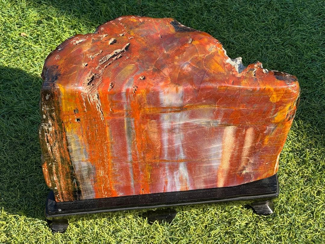 珪化木 木化石 鑑賞石 天然石 水晶 色石 赤石 赤玉石 アリゾナ珪化木