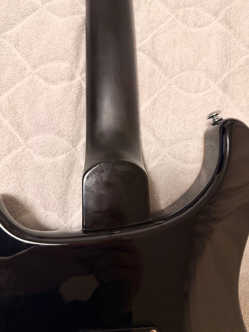 さぼてん様 PRS SE custom ポールリードスミス