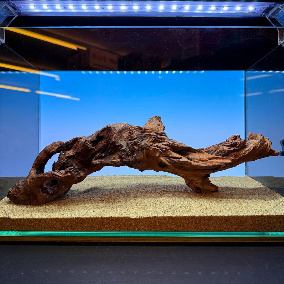 MRW-7224 自立赤系天然流木 アーチ流木 45cm水槽用流木 アクアリウム