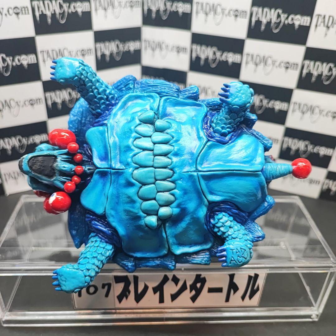 107ブレインタートル