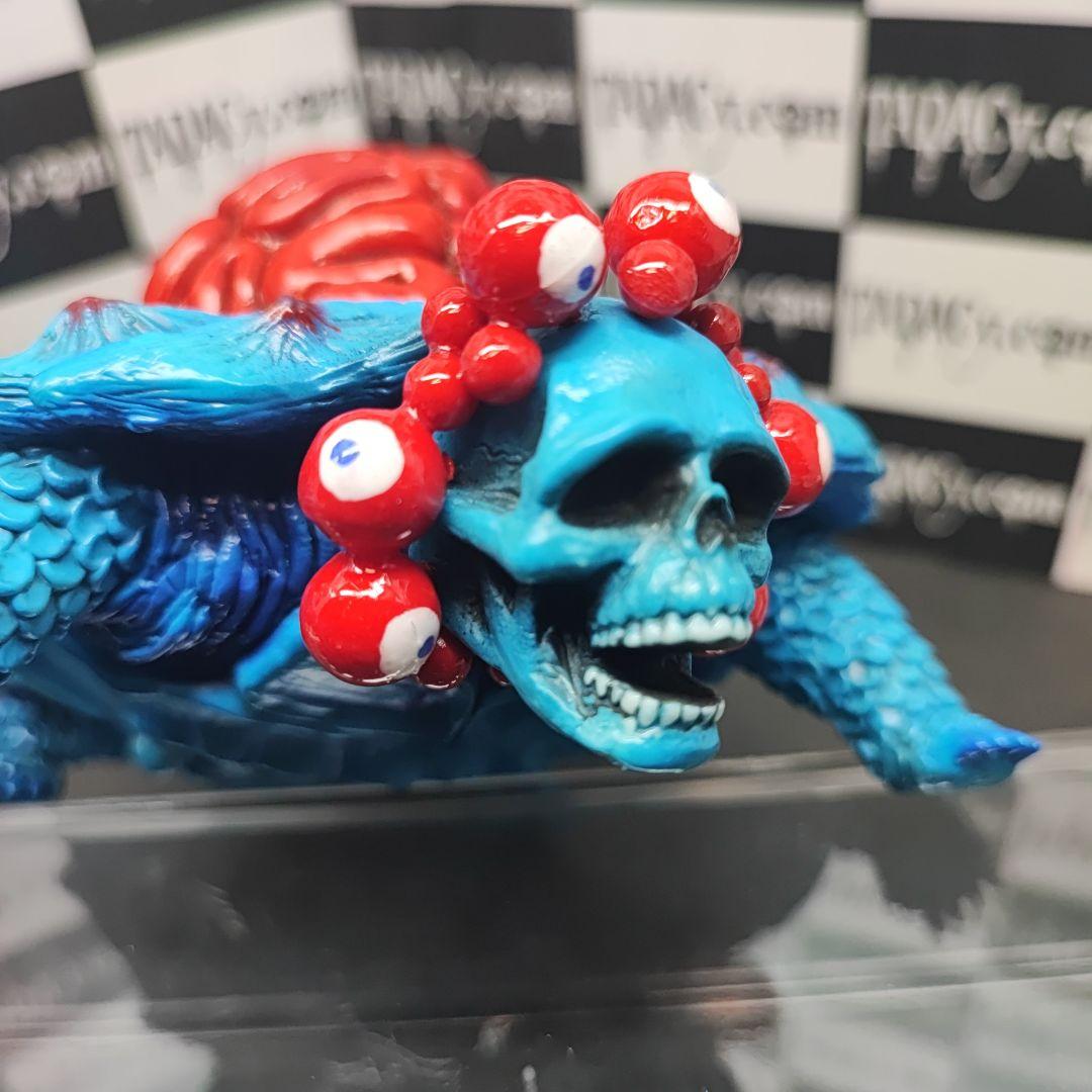 107ブレインタートル