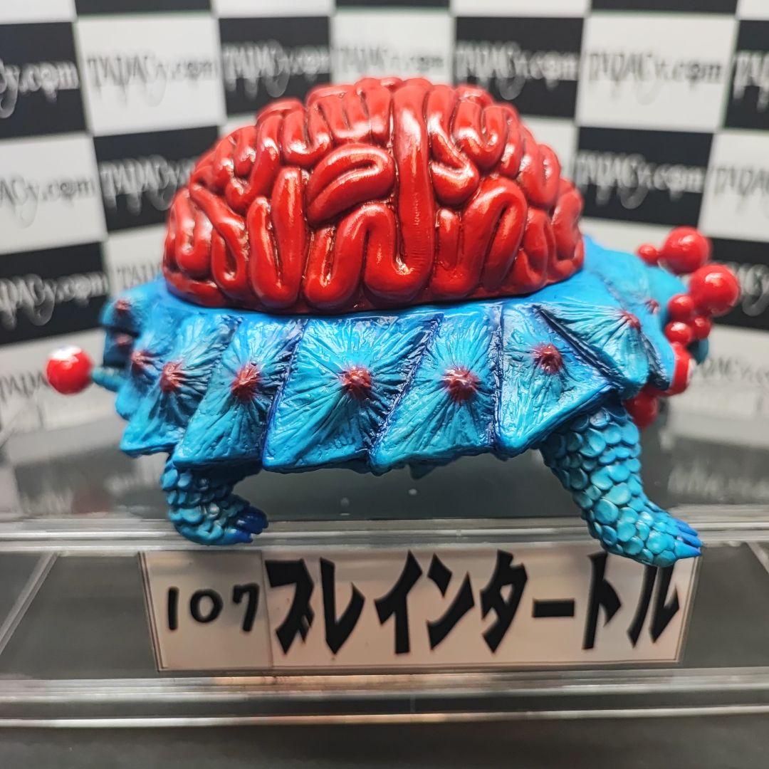 107ブレインタートル