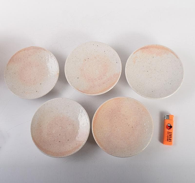 志野焼　加藤春鼎　志野銘々皿　五客　共箱　V　R5015C