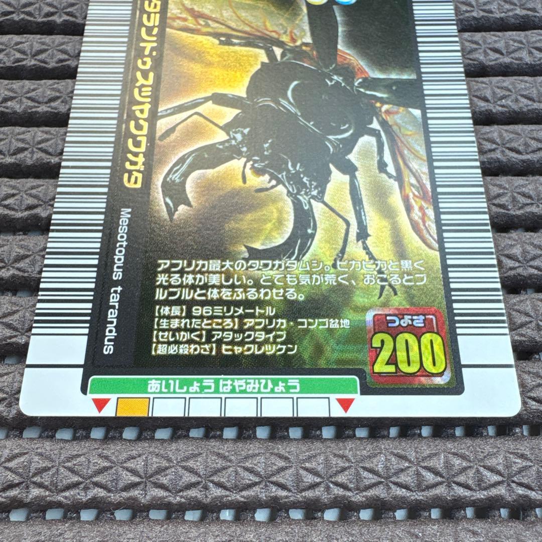 美品 ムシキング タランドゥスツヤクワガタ 2005年夏限定デザイン