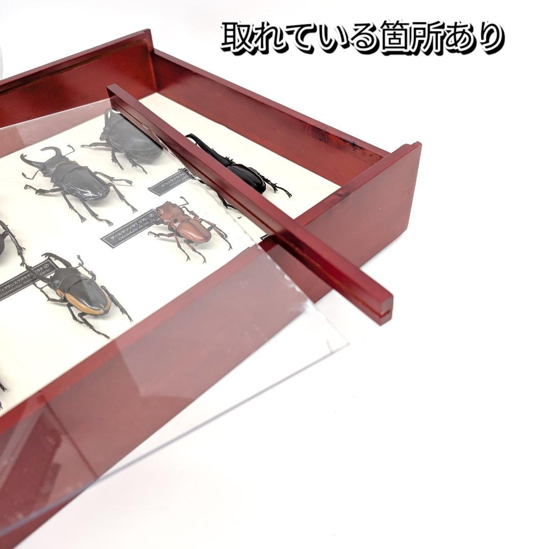 デアゴスティーニ 世界の昆虫 フィギュア30体セット 現状品