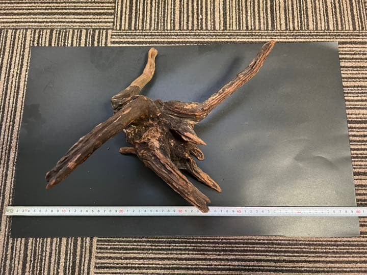 ADAホーンウッド流木16本セット