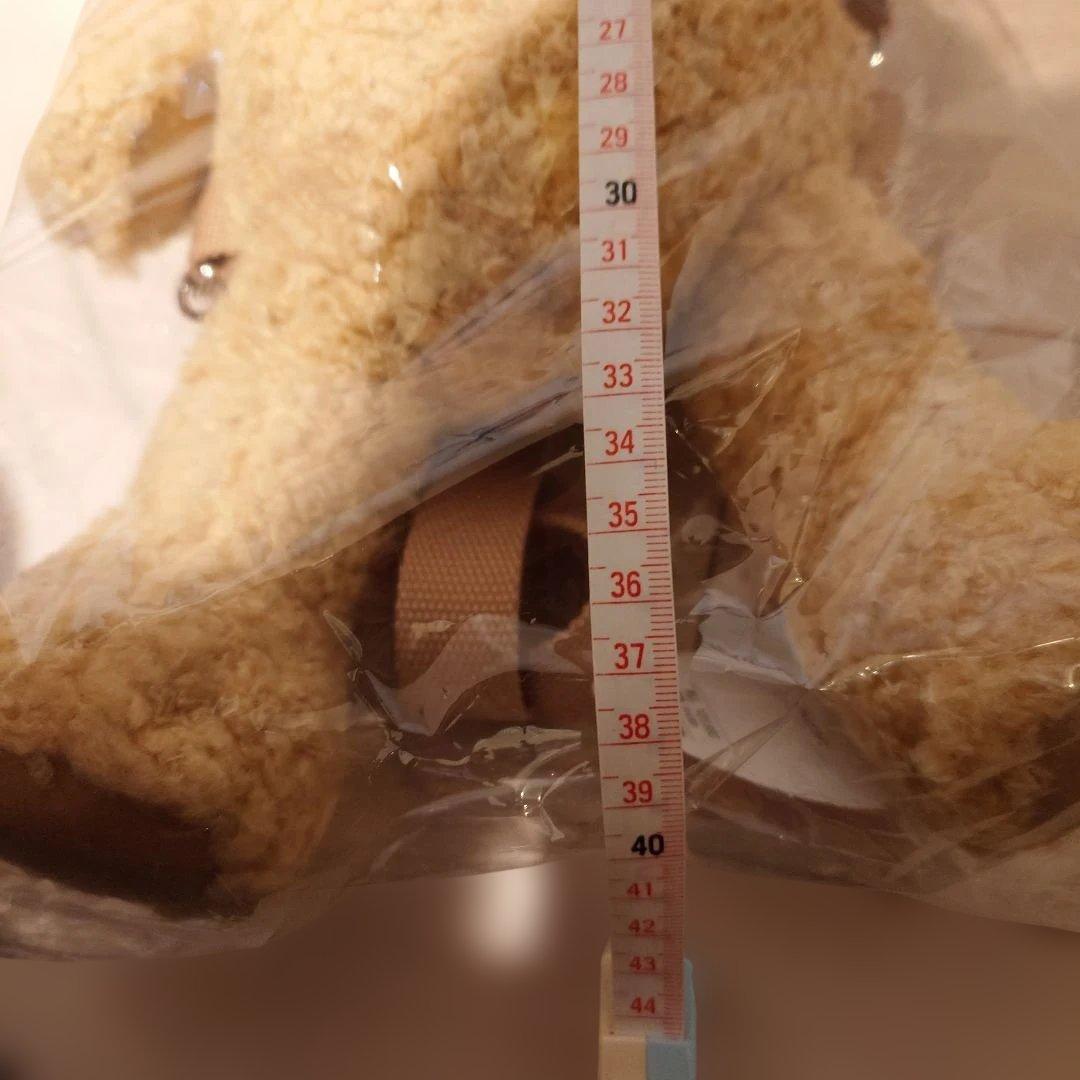 くまくみゃリュックミニ 新品未使用 ベイビーザスターズシャインブライト