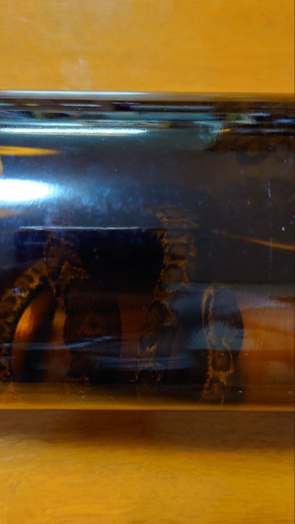 マムシ酒（岐阜県産）