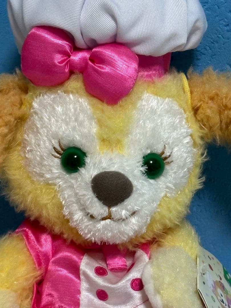 新品タグ付き お顔厳選 香港ディズニー クッキーアン スペシャル