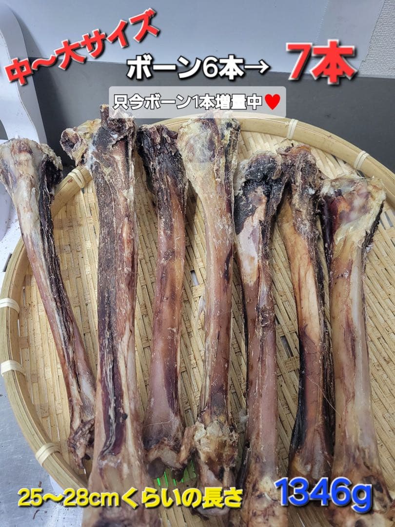 でっかい骨【お肉たっぷりボーンジャーキー】大人気おやつ ガジガジ