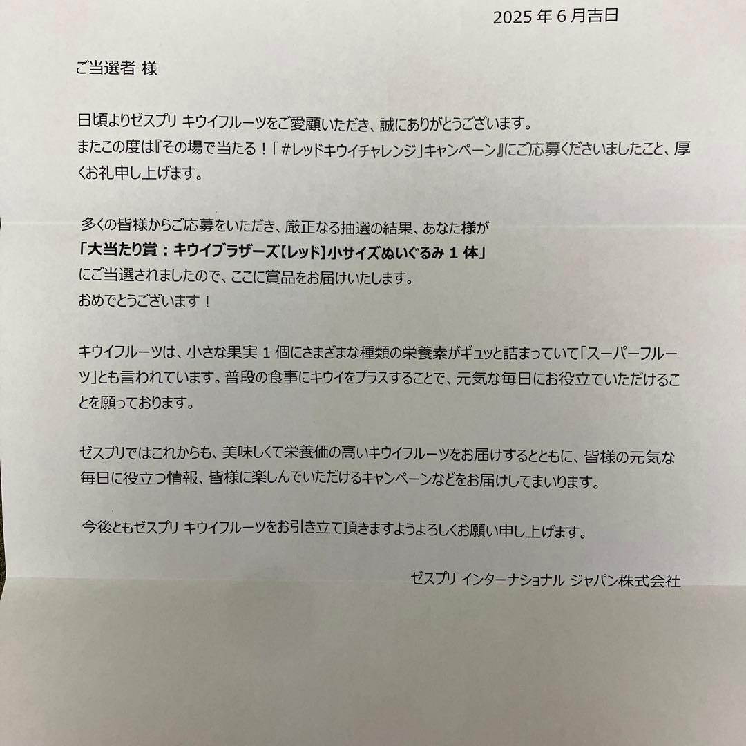 新品未開封ゼスプリキウイブラザーズレッド　　　　ぬいぐるみ
